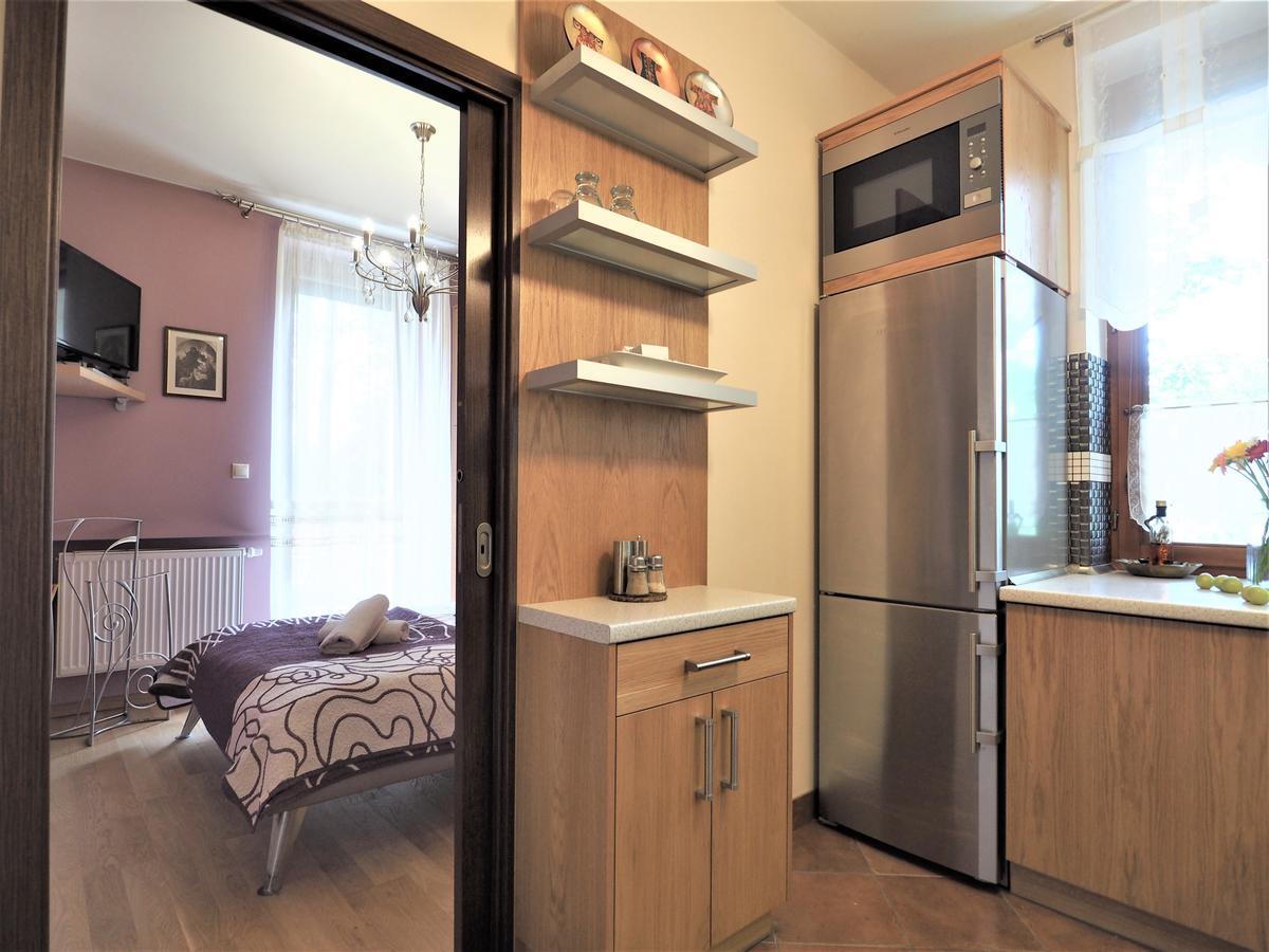 Vip Apartamenty Tetmajera Centrum 2 扎科帕内 外观 照片
